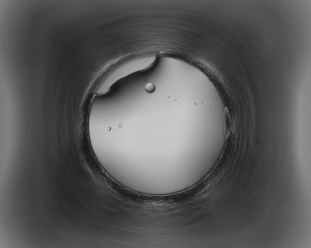 X0000083010540200703021943