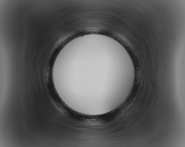 X0000083010544200703021943