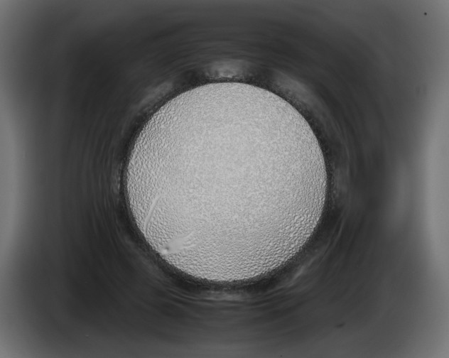 X0000083010545200703021943