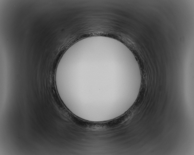 X0000083010546200703021943