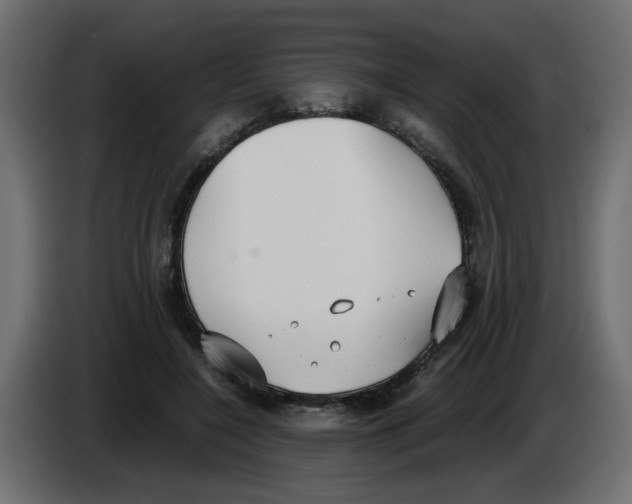 X0000083010548200703021943