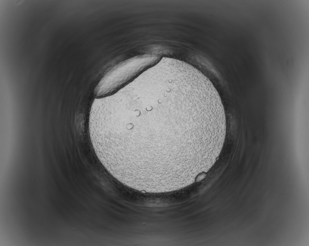 X0000083010549200703021943