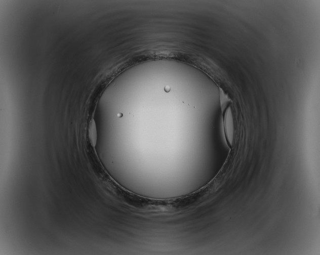 X0000083010552200703021943