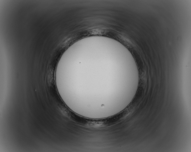 X0000083010554200703021943