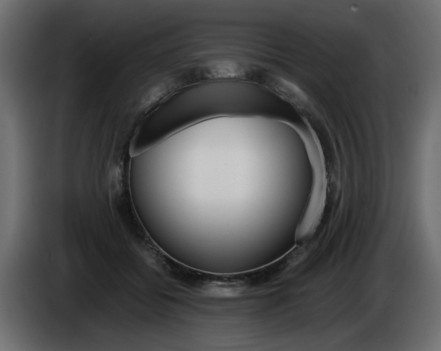 X0000083010556200703021943