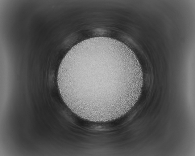 X0000083010557200703021943