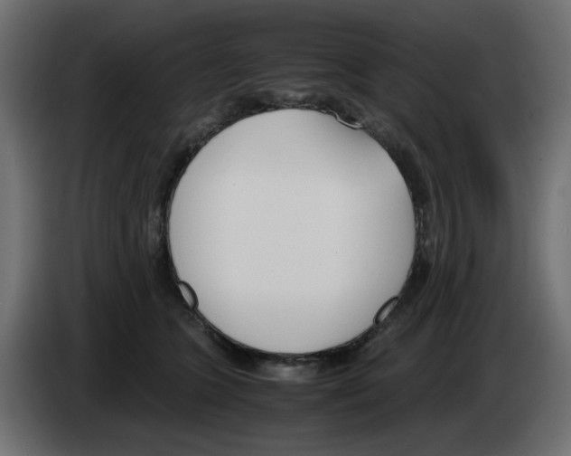 X0000083010563200703021943