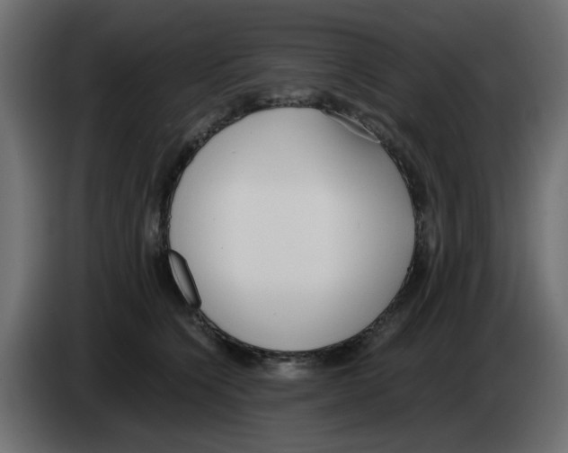 X0000083010564200703021943