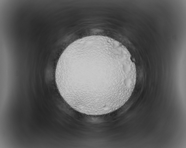 X0000083010565200703021943