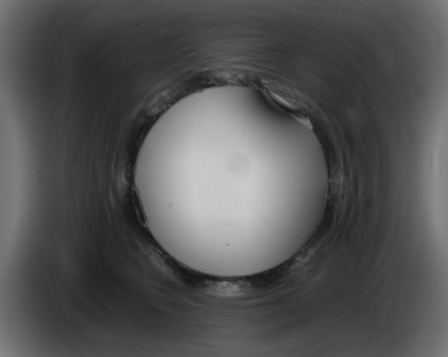 X0000083010566200703021943