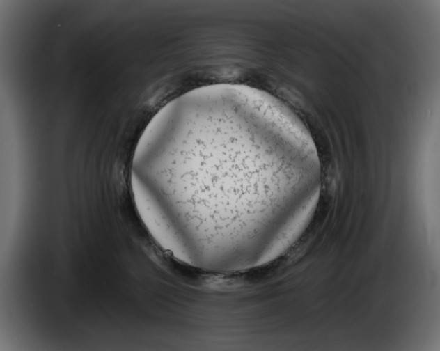 X0000083010568200703021943