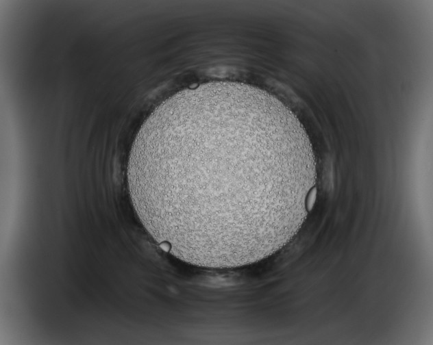 X0000083010569200703021943