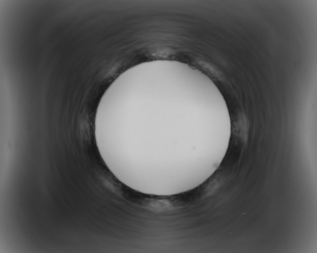 X0000083010572200703021943