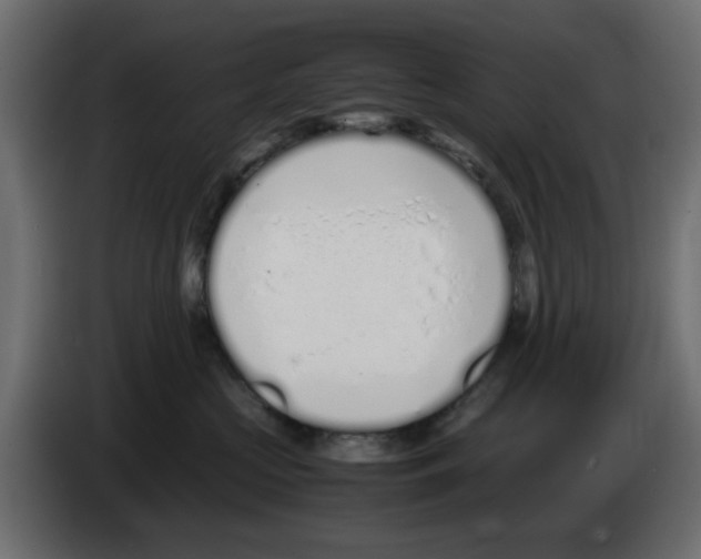 X0000083010573200703021943