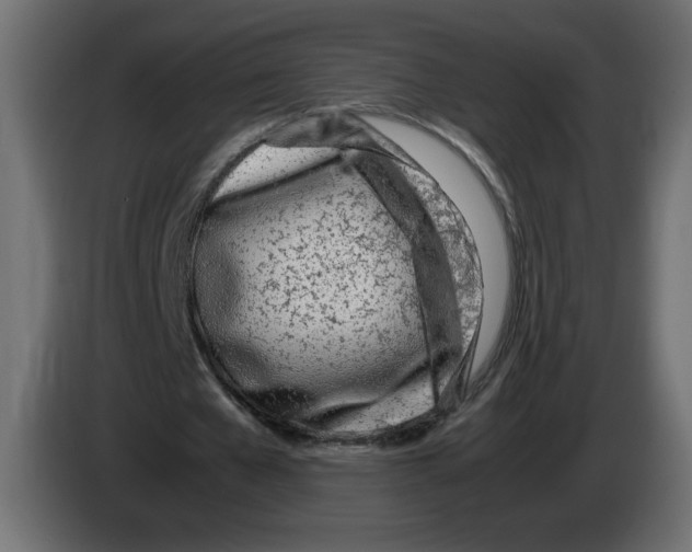 X0000083010577200703021942