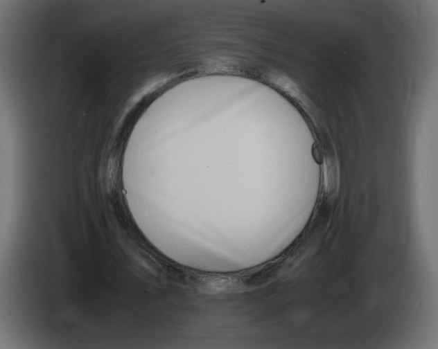 X0000083010579200703021942