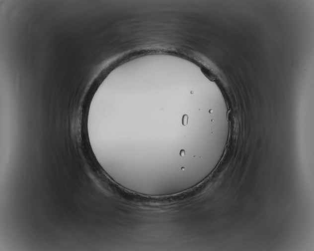 X0000083010580200703021942