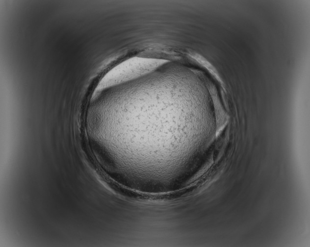 X0000083010581200703021942