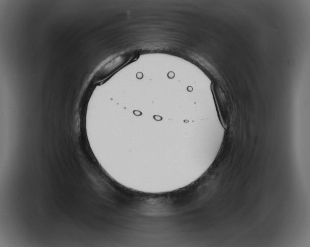 X0000083010584200703021942