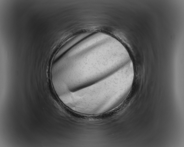 X0000083010585200703021942