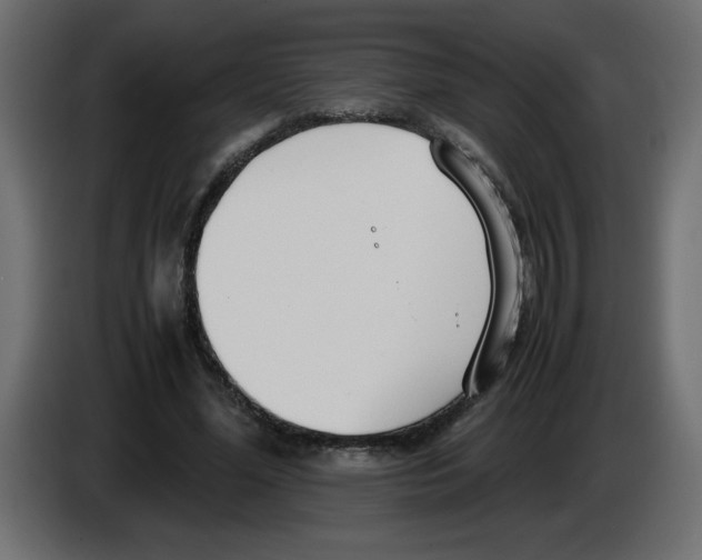 X0000083010588200703021942