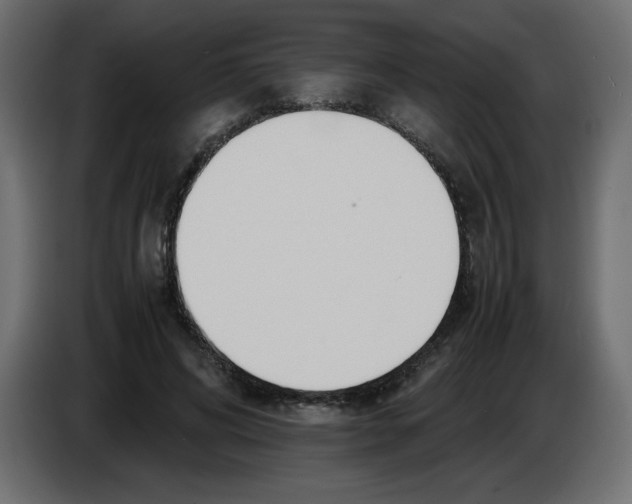 X0000083010592200703021942