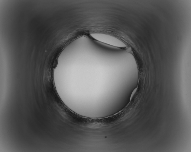 X0000083010593200703021942