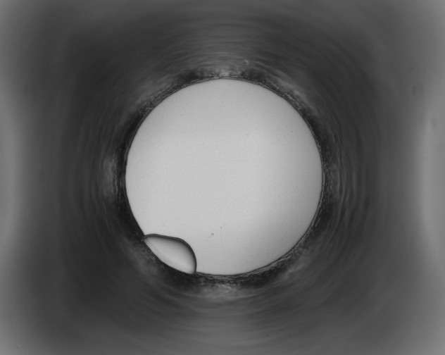 X0000083010594200703021942