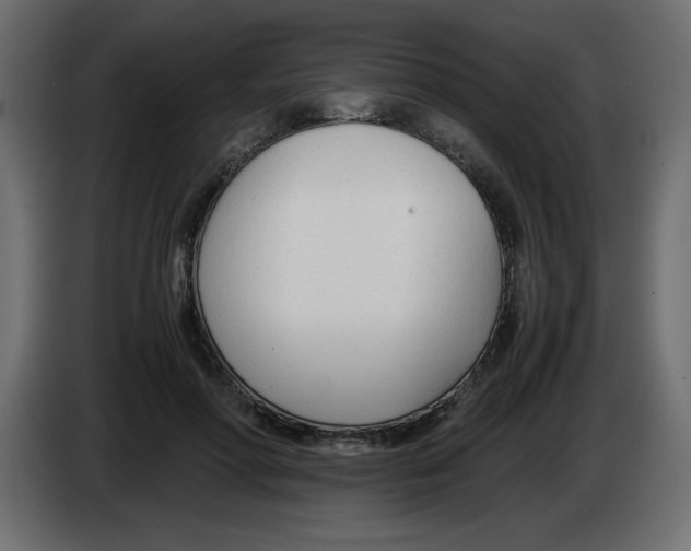 X0000083010598200703021942