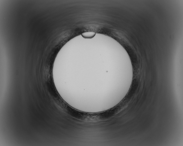 X0000083010599200703021942