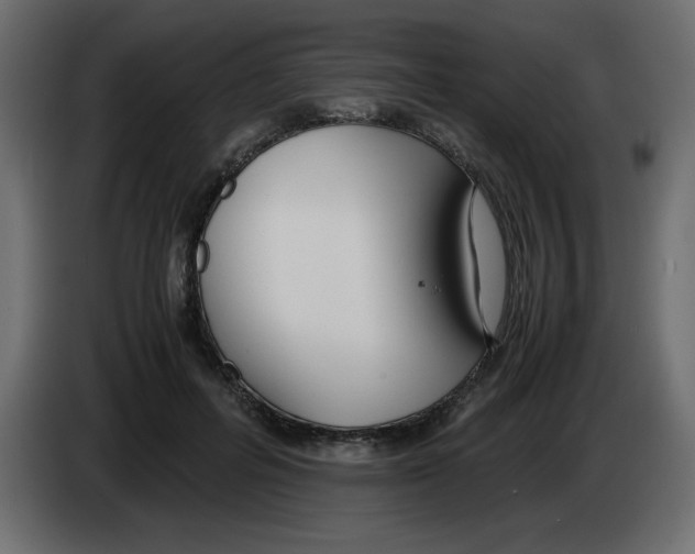 X0000083010600200703021942