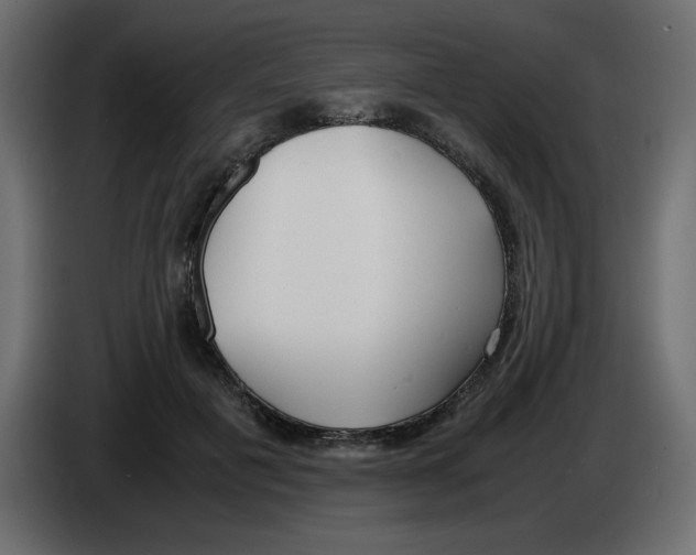 X0000083010601200703021942