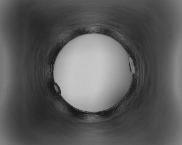 X0000083010605200703021942