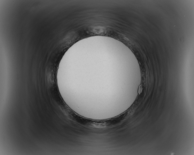 X0000083010606200703021942