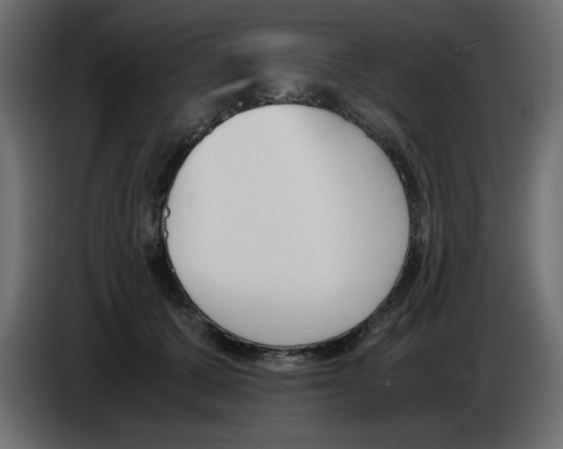 X0000083010607200703021942