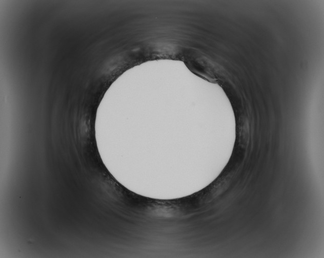 X0000083010608200703021942