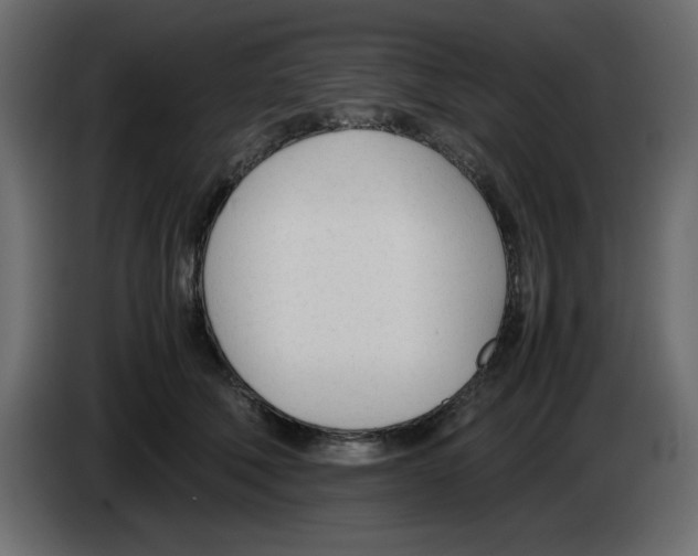 X0000083010610200703021942