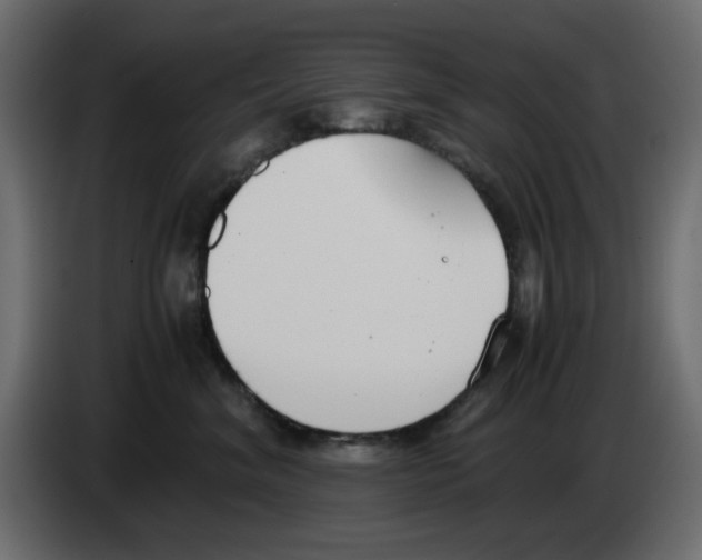 X0000083010620200703021942