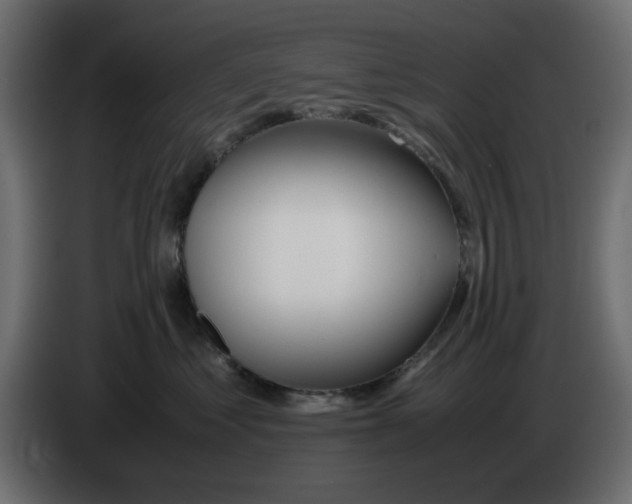 X0000083010621200703021942