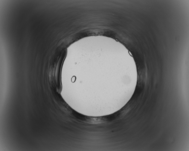 X0000083010623200703021942