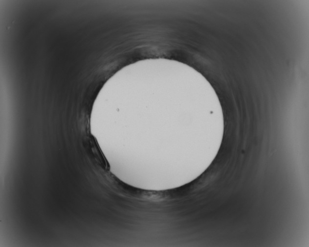 X0000083010624200703021942