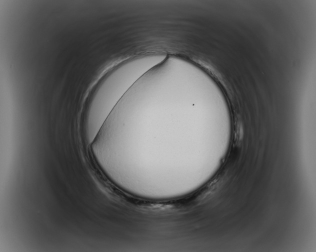 X0000083010626200703021941