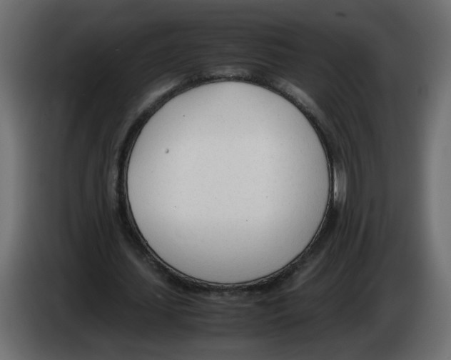 X0000083010627200703021941