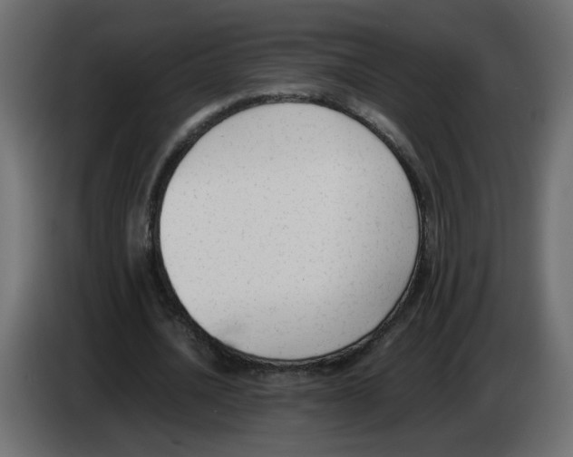 X0000083010628200703021941