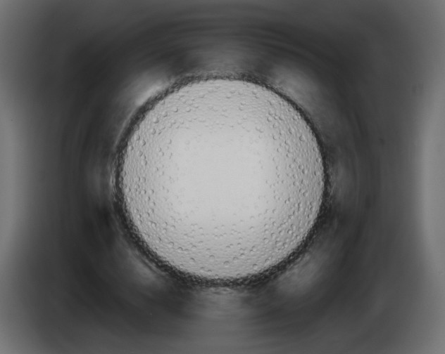 X0000083010632200703021941