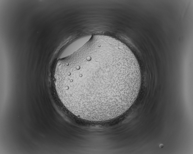 X0000083010634200703021941