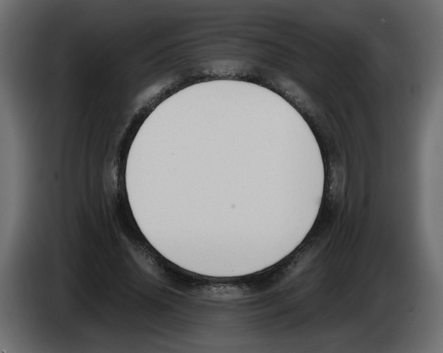 X0000083010636200703021941