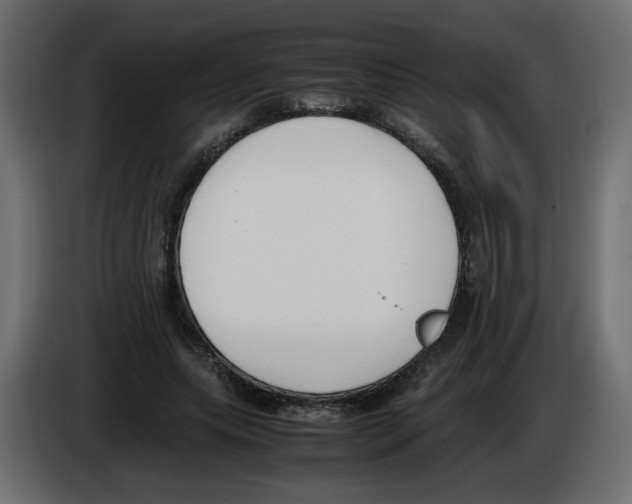 X0000083010639200703021941