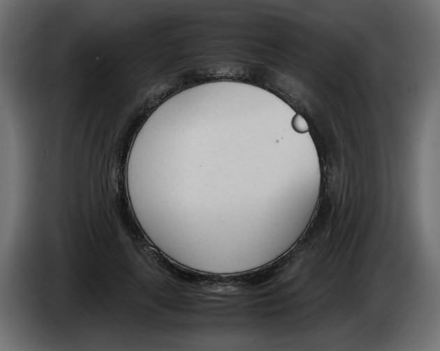 X0000083010643200703021941