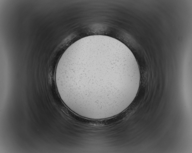 X0000083010644200703021941